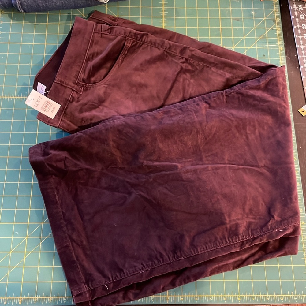 Beautiful plum velvet jeans
